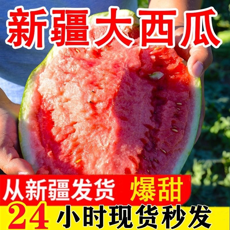 新疆甜王大西瓜，现货直发，甜王西瓜，无籽瓜