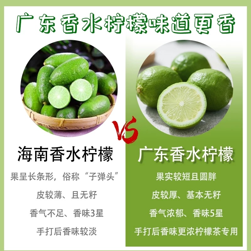 广东香水柠檬自家果园直发