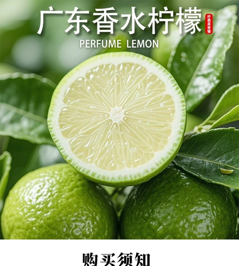 广东香水柠檬自家果园直发