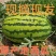 硒砂瓜金花系列石头瓜等全部有货产地现摘现发来电详谈
