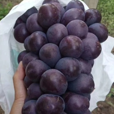 代办