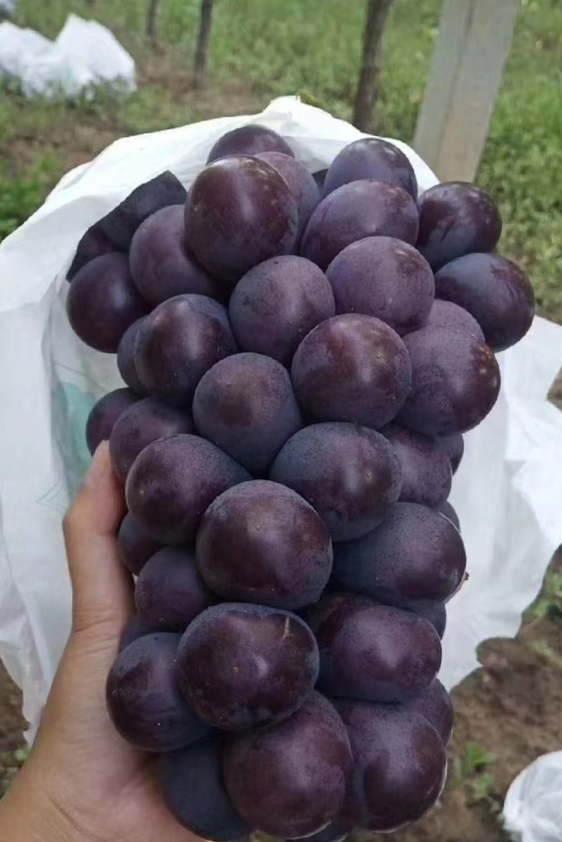 代办
