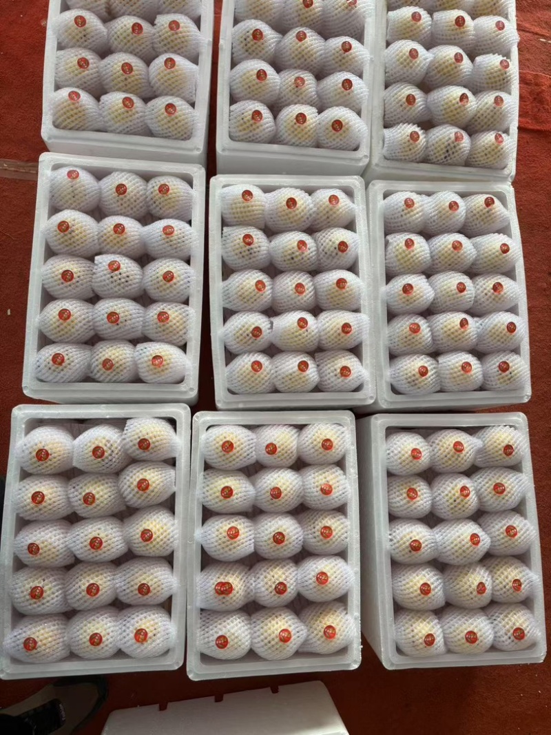 云南石林树熟人参果，产地一件代发