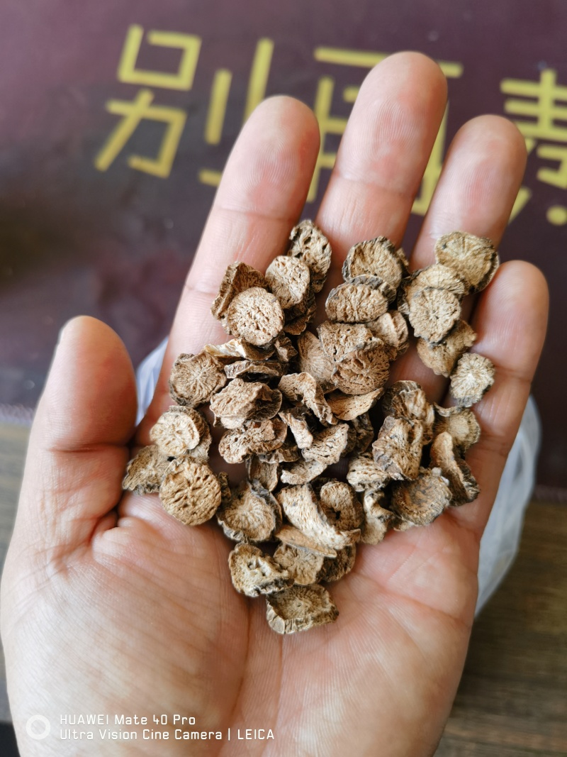 黄金牛蒡，牛蒡茶片