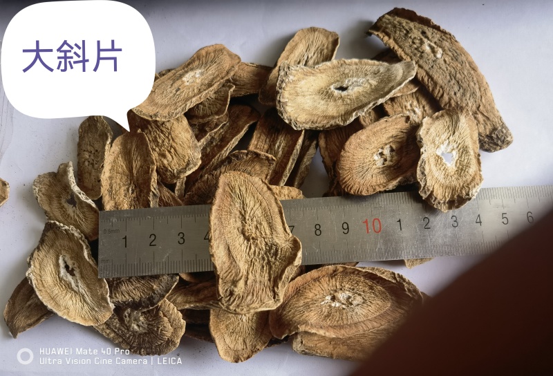 黄金牛蒡，牛蒡茶片