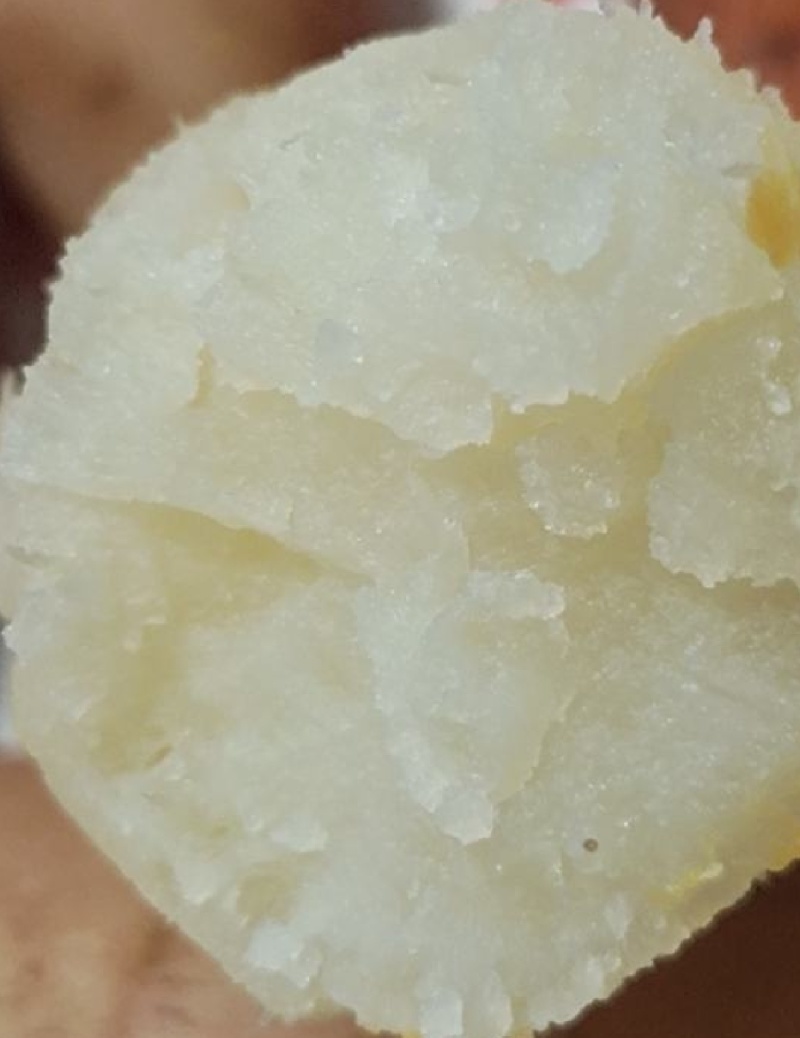 纯沙地哈密薯，条形好色泽亮，现挖现采支持各种包装全国发货
