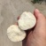 纯沙地哈密薯,条形好色泽亮,现挖现采支持各种包装全国发货