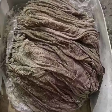 牛百叶
