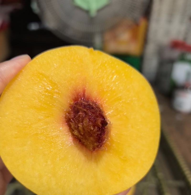 自产自销锦绣黄桃！3万斤
