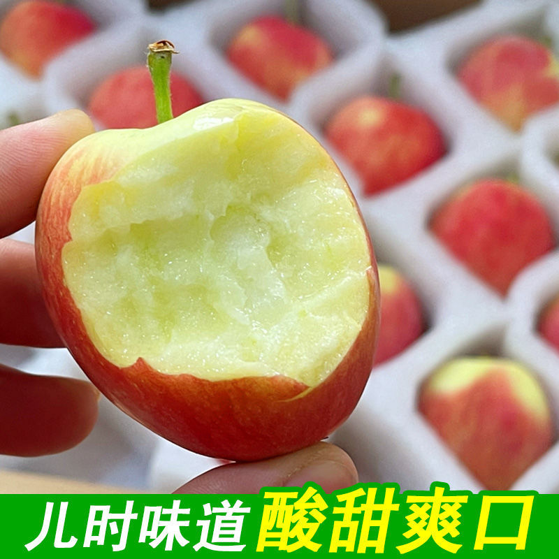 辽宁k9小苹果精品货现货多多代发需要抓紧！