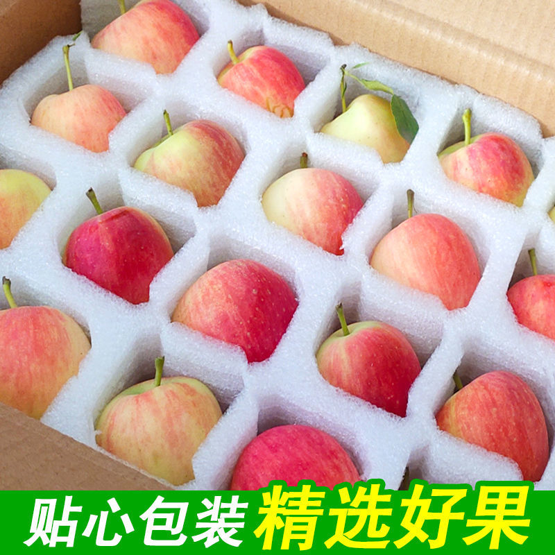 辽宁k9小苹果精品货现货多多代发需要抓紧！