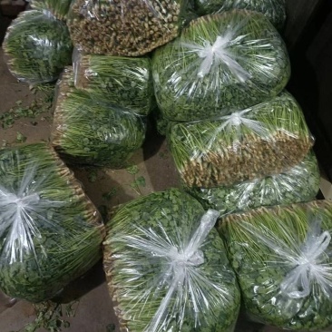 冷库香菜，产地代办，以质论价