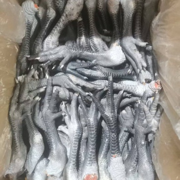 带拐黑鸡爪