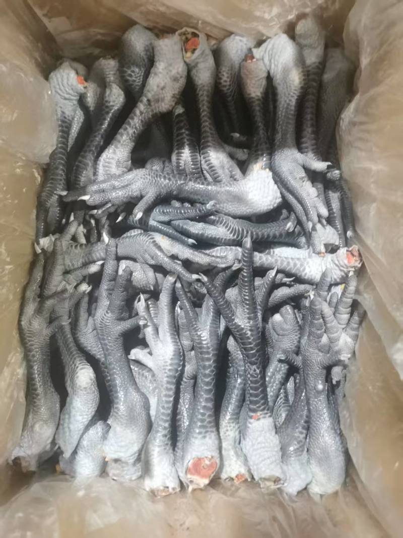 带拐黑鸡爪