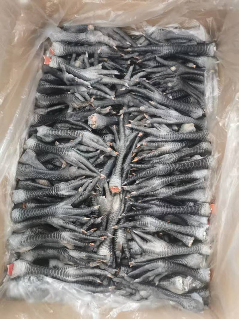 带拐黑鸡爪