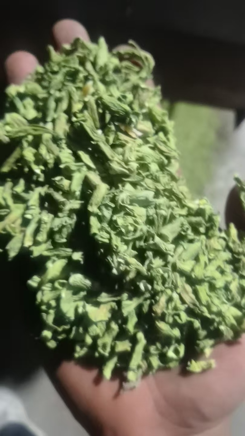 优质干豆角段坛豆角段豆角段包子馅料