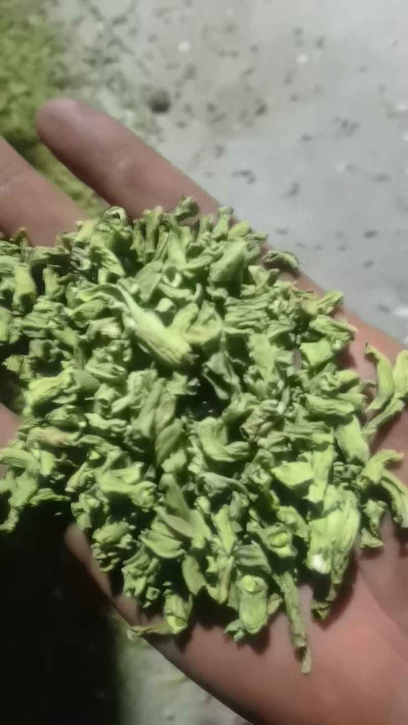 优质干豆角段坛豆角段豆角段包子馅料