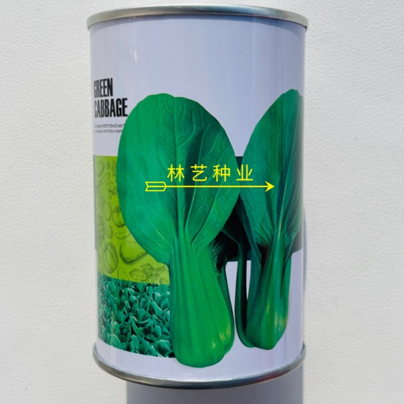 青宝优质青梗菜种子耐热耐湿抗病上海青菜种子高温不拔节蔬菜