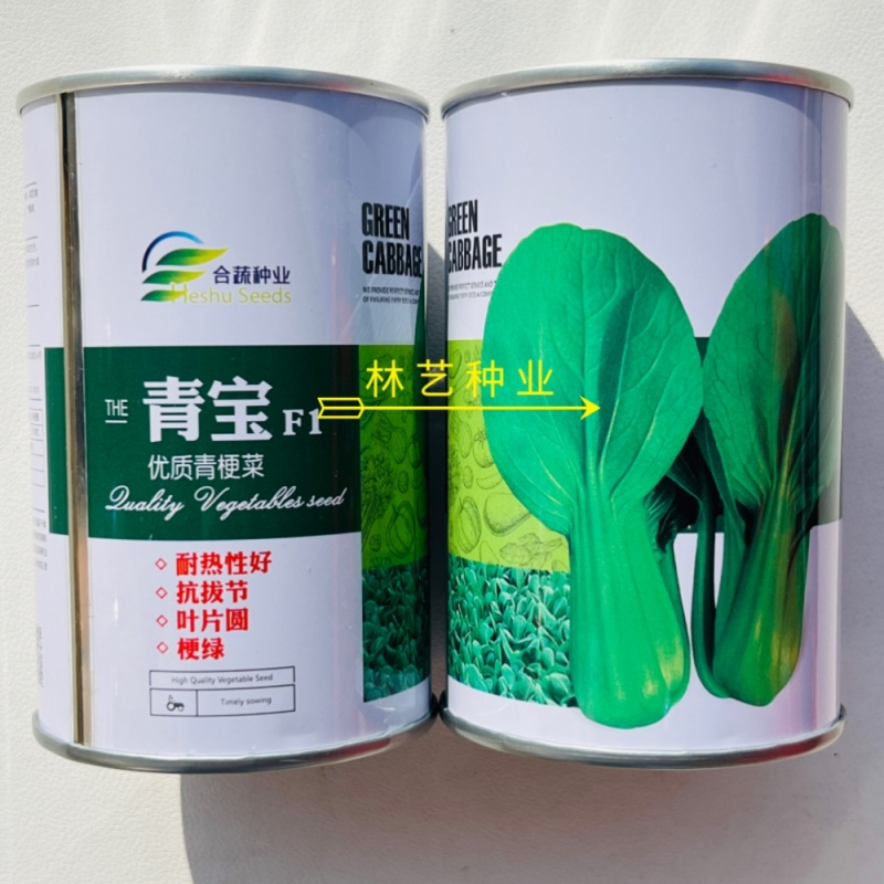 青宝优质青梗菜种子耐热耐湿抗病上海青菜种子高温不拔节蔬菜