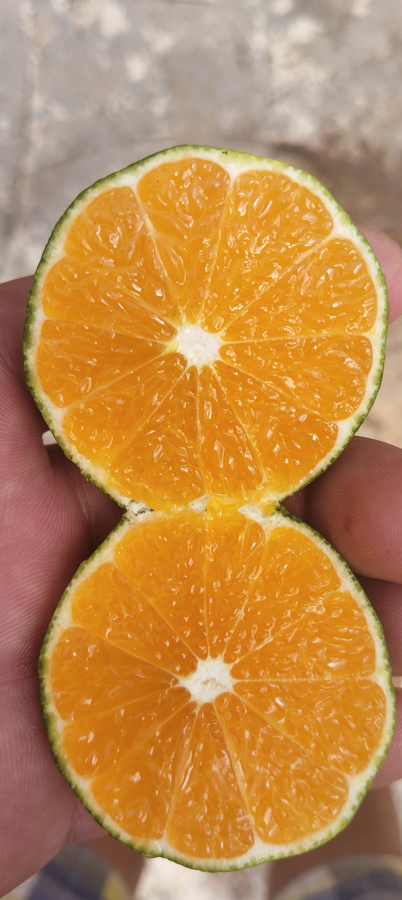 云南高原蜜桔