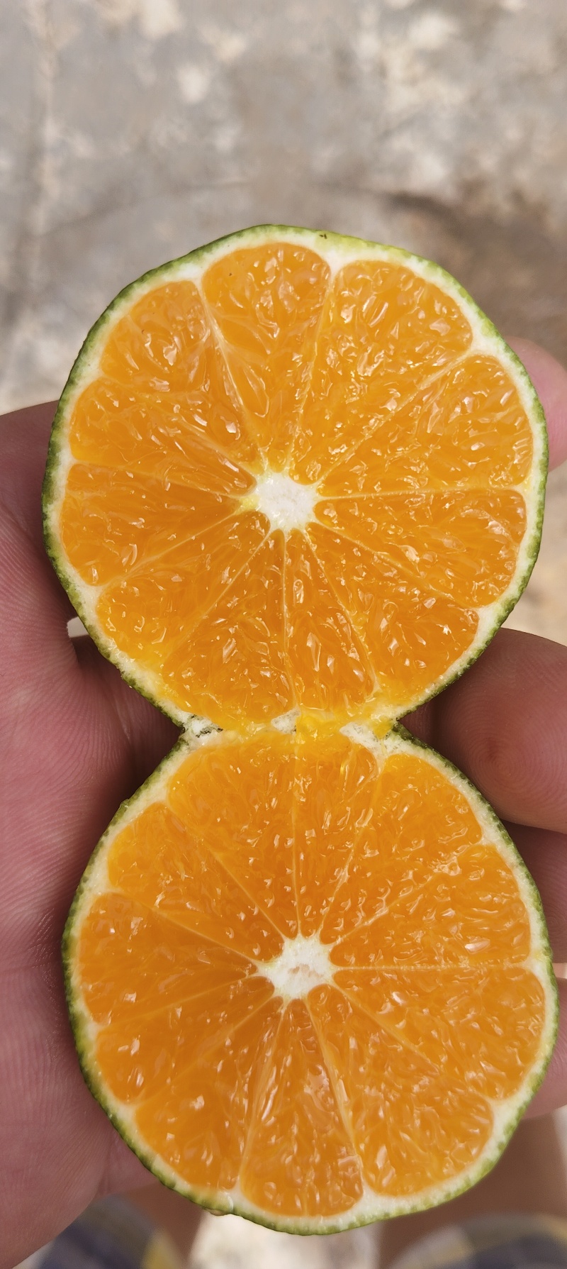 云南高原蜜桔