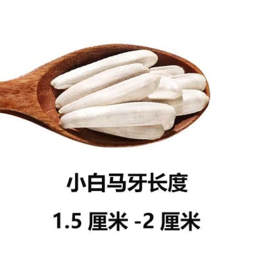 新疆原味央世特产葵花籽新货炒货零食白瓜子批发零售小马牙瓜子