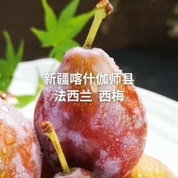伽师县西梅法兰西西梅