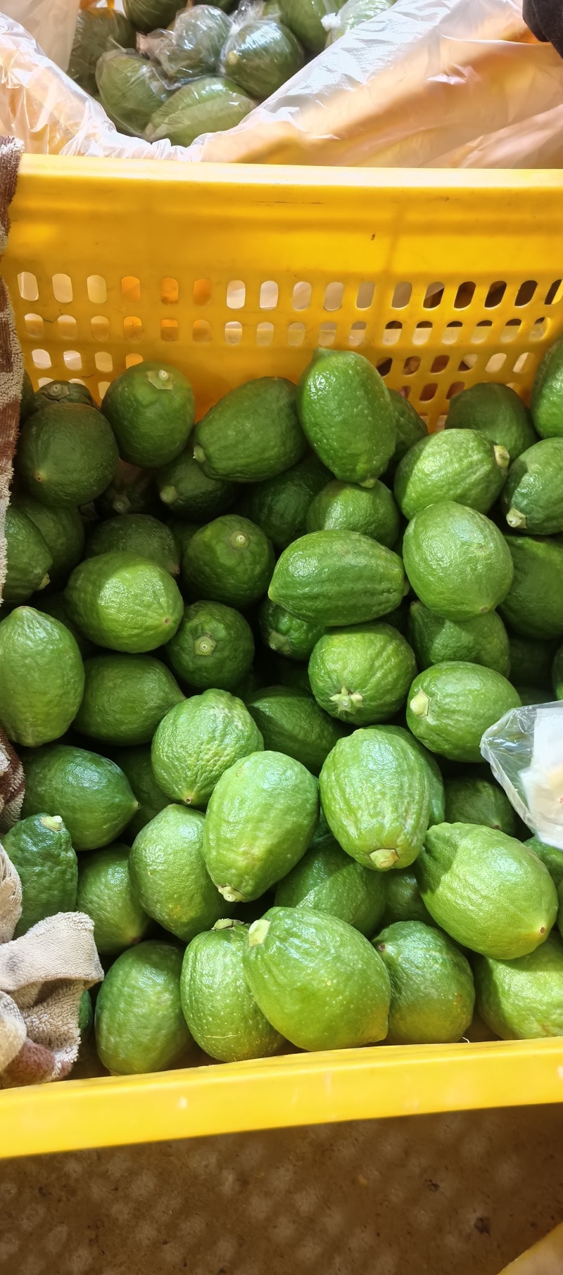 广东香水柠檬