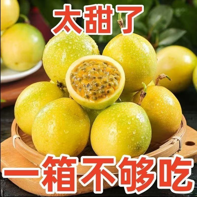 钦蜜9号黄金百香果电商爆品市场精品源头直发，价格有事大