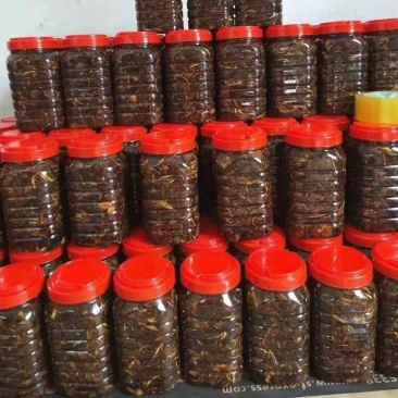 鸡枞油