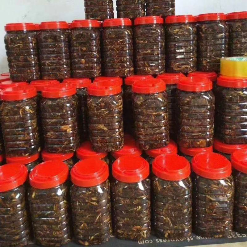 鸡枞油