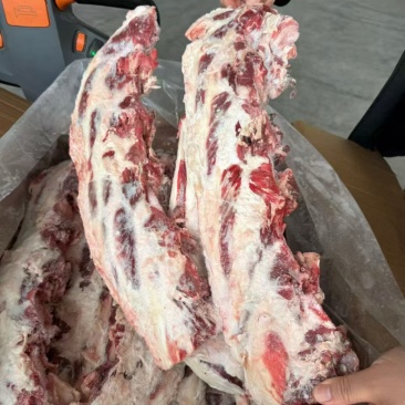 燕翅骨