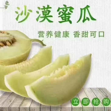 大西北隔壁蜜瓜，晓蜜25#网纹哈密瓜，基地直发量大从优