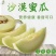 大西北隔壁蜜瓜，晓蜜25#网纹哈密瓜，基地直发量大从优