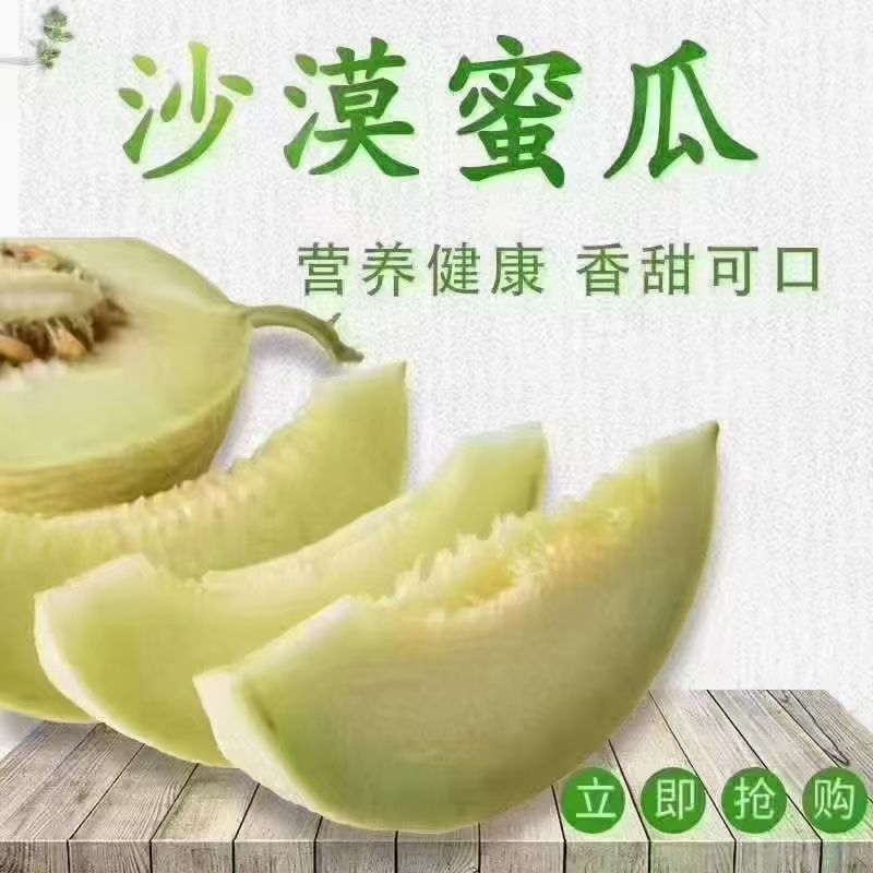 大西北隔壁蜜瓜，晓蜜25#网纹哈密瓜，基地直发量大从优
