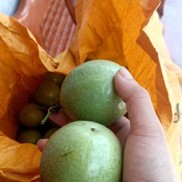 黄金百香果