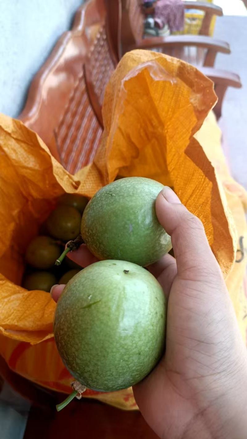 黄金百香果