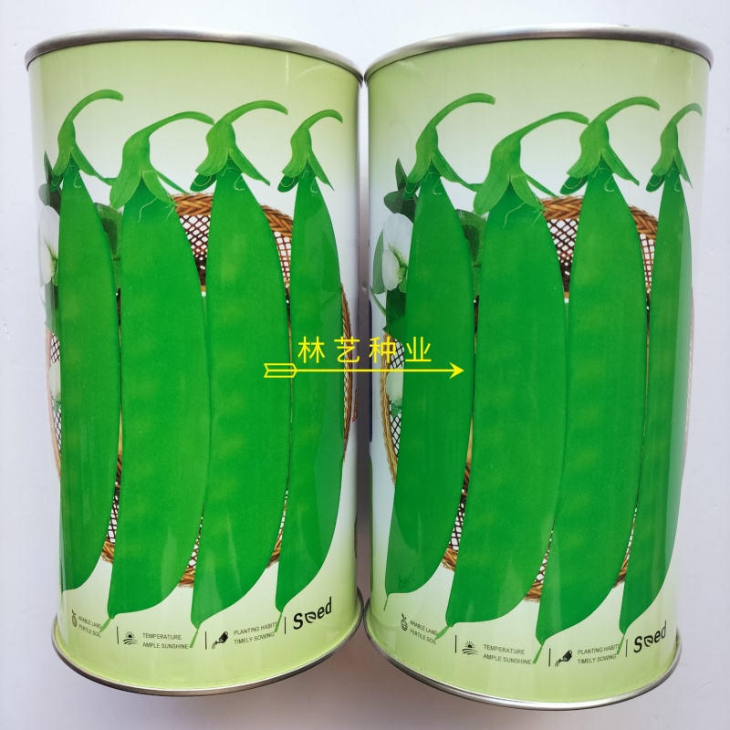 长胜将军珍宝豆种子早中熟半蔓生分枝强荚长月牙形荷兰豆