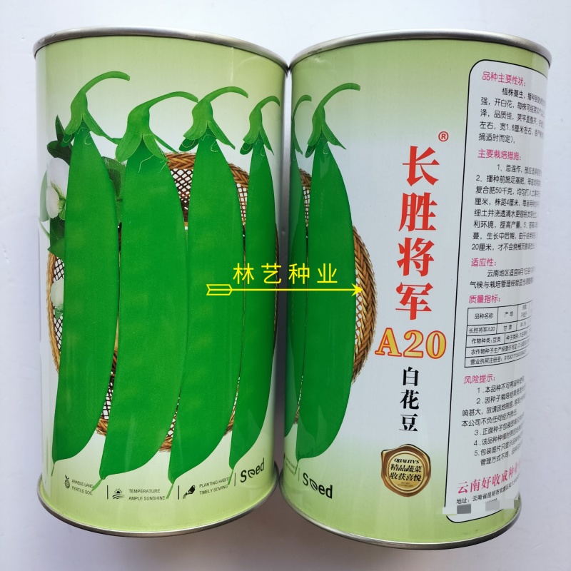 长胜将军珍宝豆种子早中熟半蔓生分枝强荚长月牙形荷兰豆