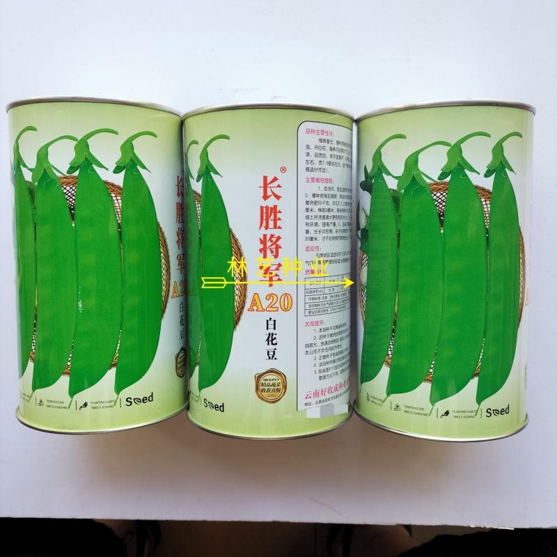 长胜将军珍宝豆种子早中熟半蔓生分枝强荚长月牙形荷兰豆