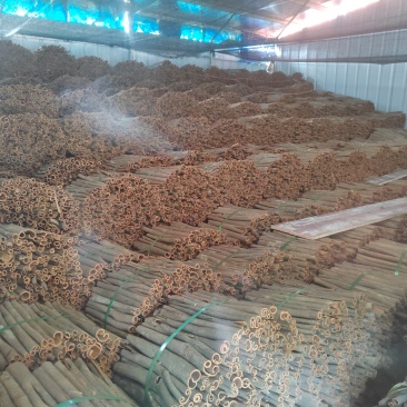 广东桂皮，靓货，价格美丽就出