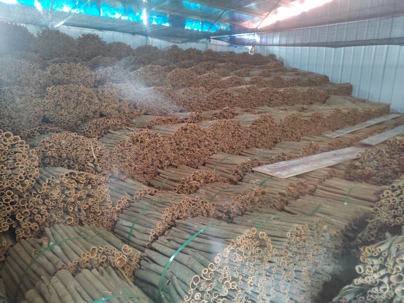 广东桂皮，靓货，价格美丽就出