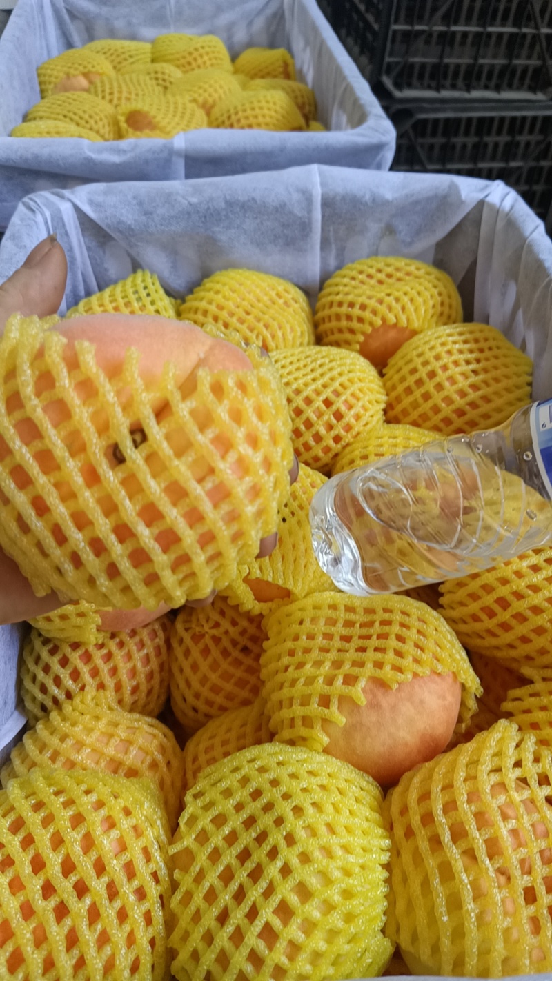 十七大量上市