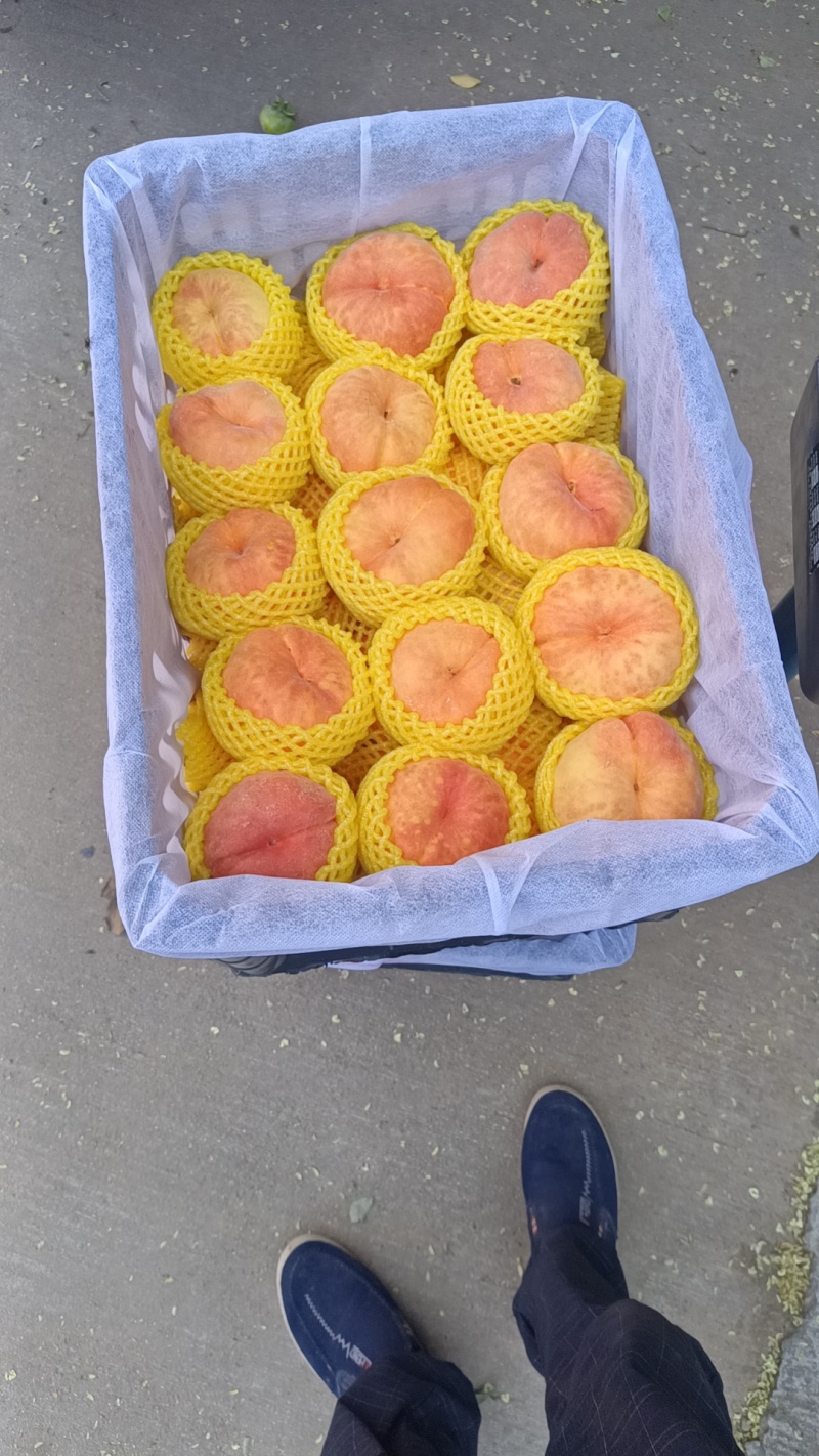 十七大量上市
