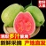 海南红心芭乐奶油番石榴软心香甜白心芭乐应季新鲜水果