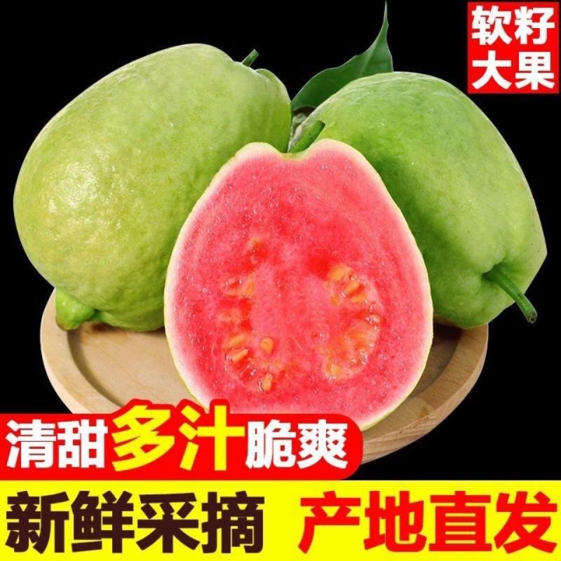 海南红心芭乐奶油番石榴软心香甜白心芭乐应季新鲜水果
