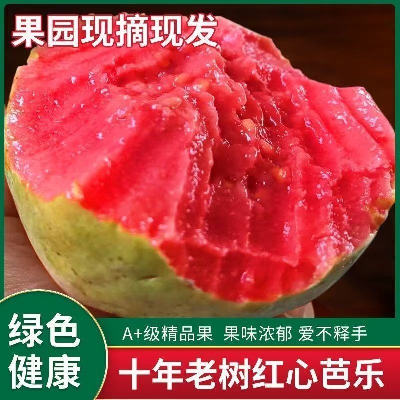 海南红心芭乐奶油番石榴软心香甜白心芭乐应季新鲜水果