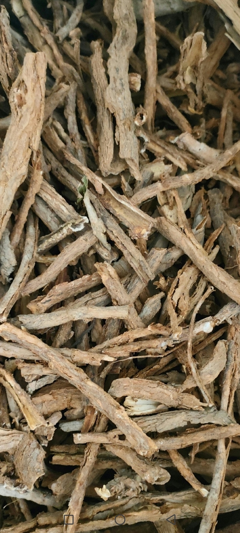 地骨皮河南产野生地骨皮过3号筛净货没有骨头捡的很干净