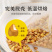 苦荞茶黄苦荞茶大凉山苦荞茶饭店专用泡水喝的东西
