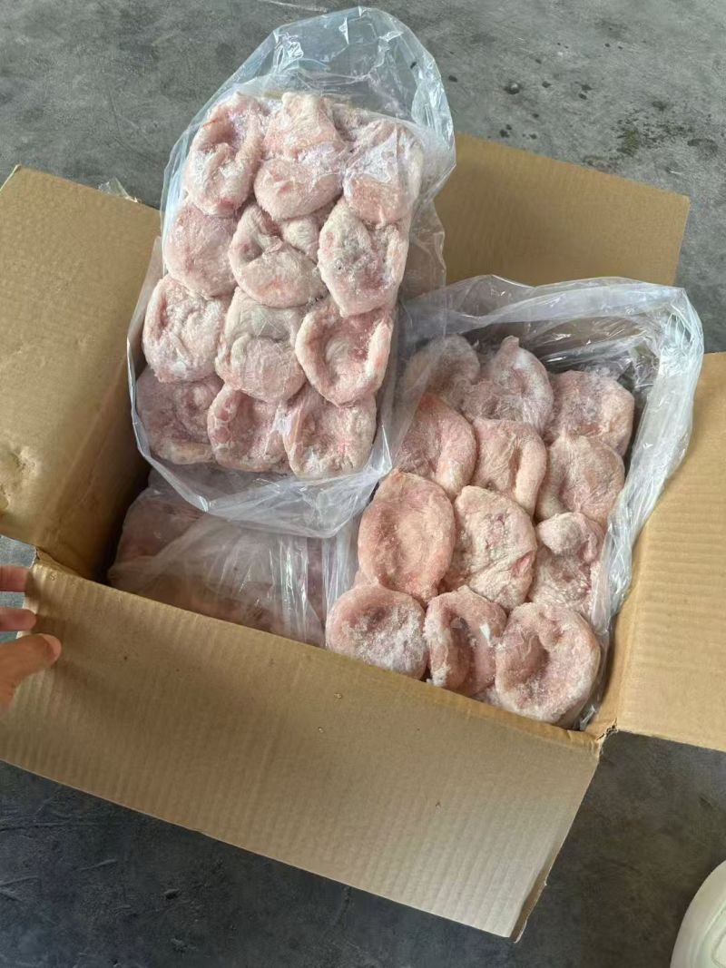 中猪/标猪/小猪小肚